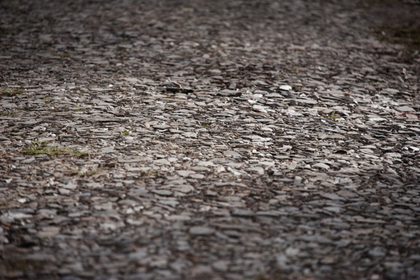 Slate Mulch Driveway