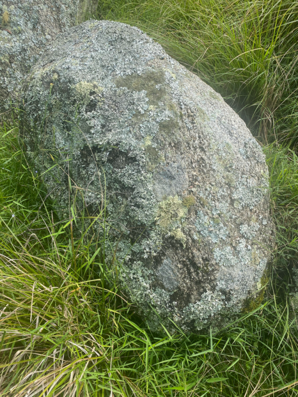 Mossy Granite Boulder