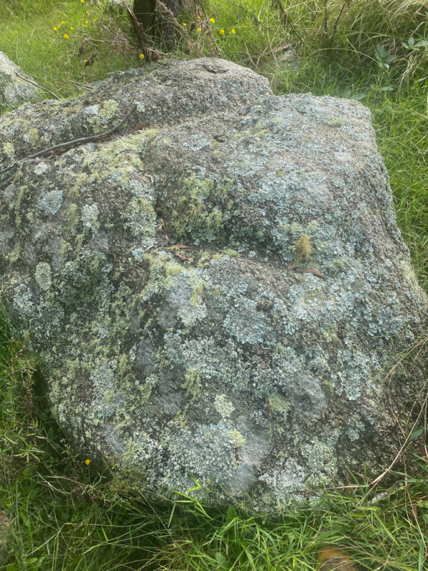 Mossy Granite Boulder