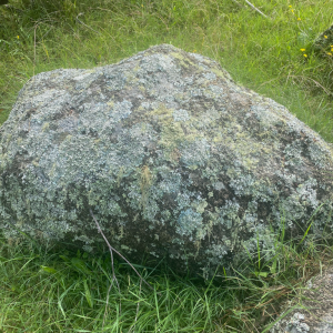 Mossy Granite Boulder