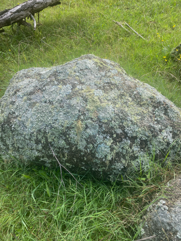 Mossy Granite Boulder