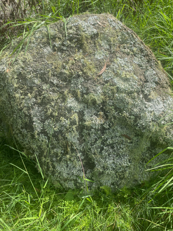 Mossy Granite Boulder