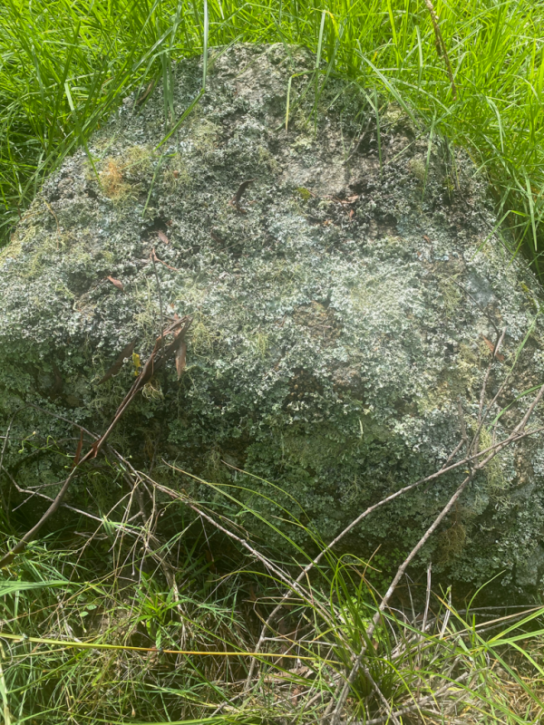 Mossy Granite Boulder