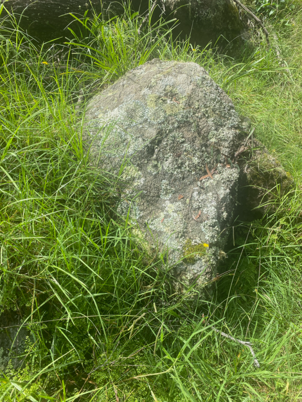 Mossy Granite Boulder