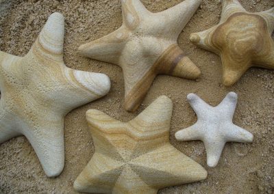 sandstone starfish carving