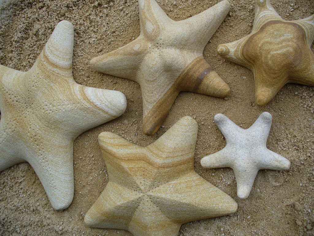 arenaP1170879-2 sandstone starfish carving