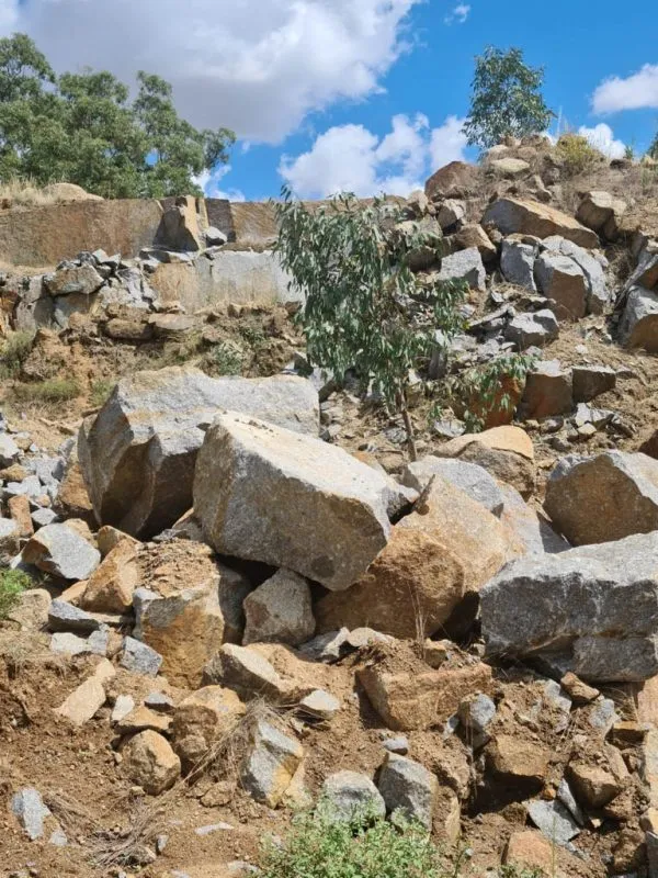 Riverina Blue Granite Boulder